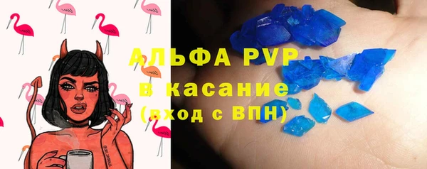 индика Арсеньев