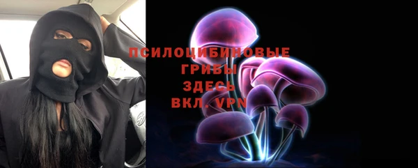 индика Арсеньев
