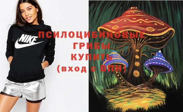 спайс Аркадак