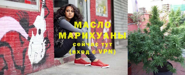 индика Арсеньев