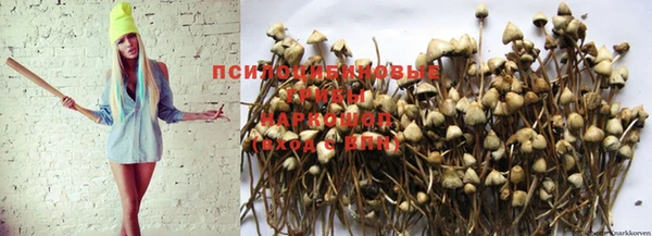 гашишное масло Армянск