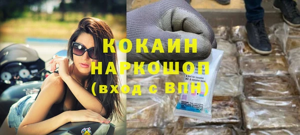 индика Арсеньев