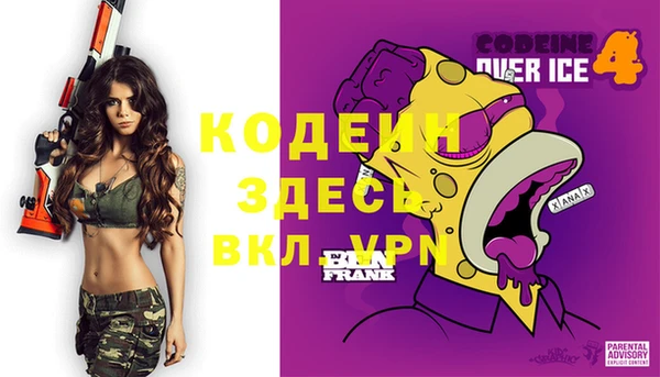 индика Арсеньев