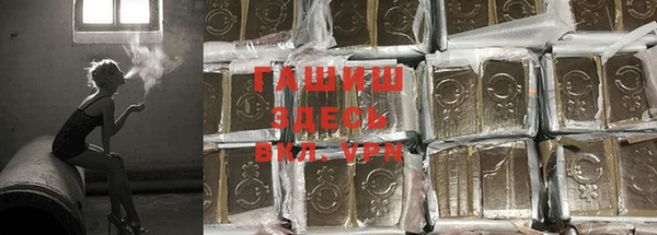 индика Арсеньев