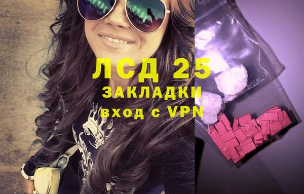 спайс Аркадак