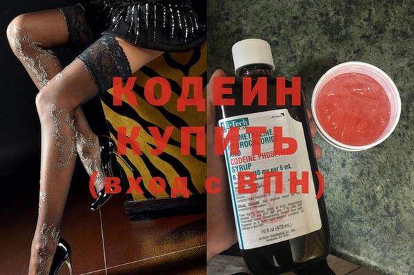 индика Арсеньев