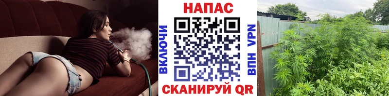 закладка  Соликамск  Конопля семена 
